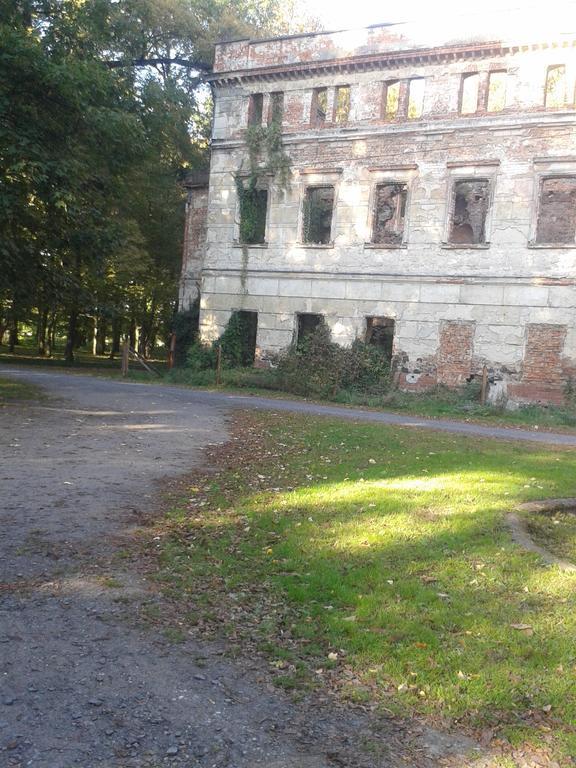 Gosciniec Sloneczny Hotel Drzonkow Exterior photo